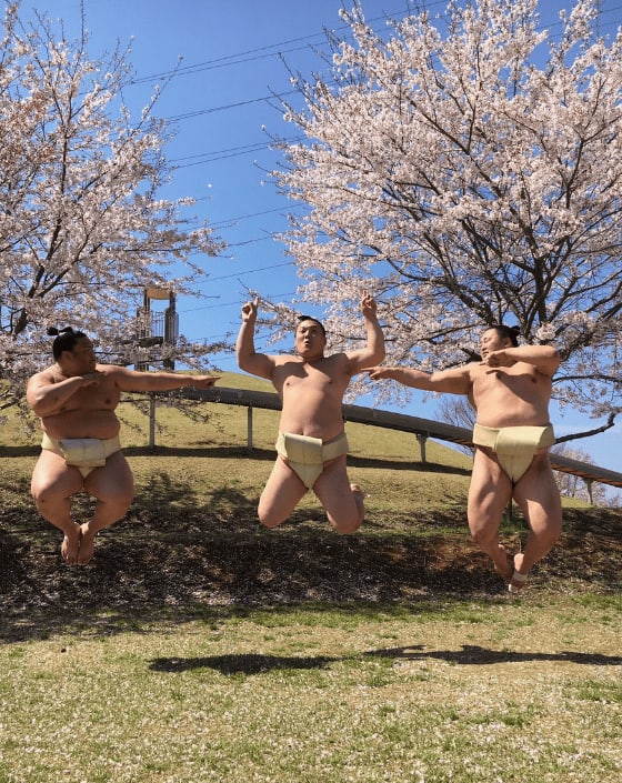 PsBattle: Three professional Sumo Wrestlers From Japan Jumping Together For A Picture In The Nature!