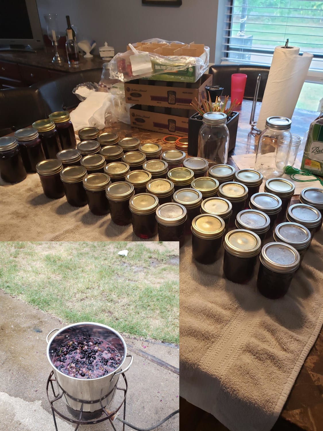 Made A LOT of wild grape jelly.