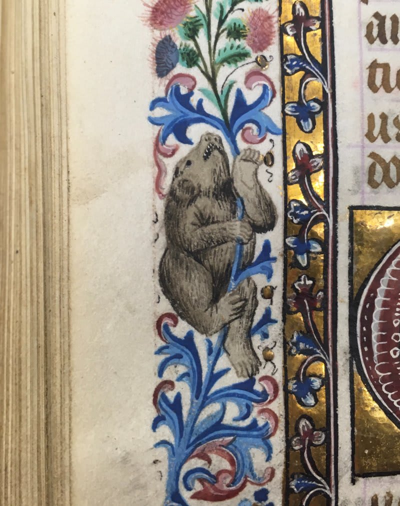 The slow climb on a Monday morning ManuscriptMonday In this recently catalogued Book of Hours, you'll find an interesting link with the Master of the Playing Cards. Find out more: https://t.co/OL12KoY0t1 Harley MS 2433, f. 76v (c.1425-50)