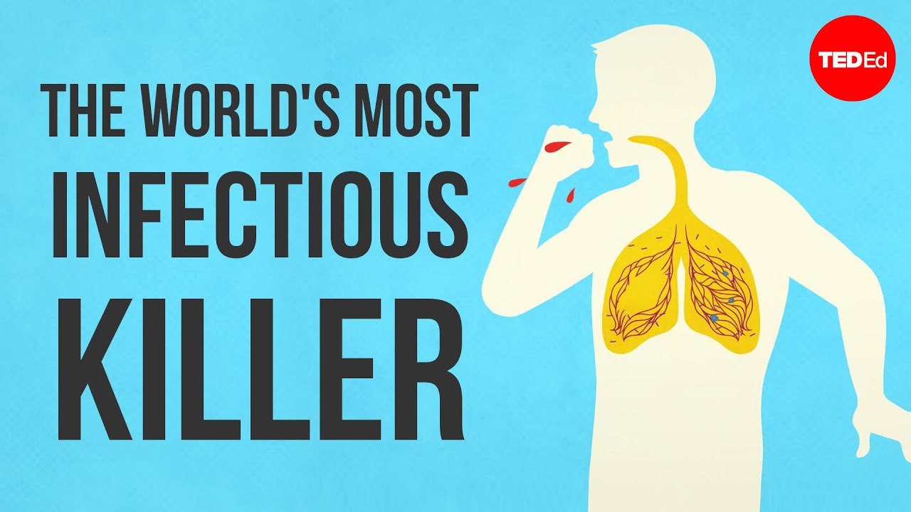 What makes tuberculosis (TB) the world's most infectious killer? - Melvin Sanicas