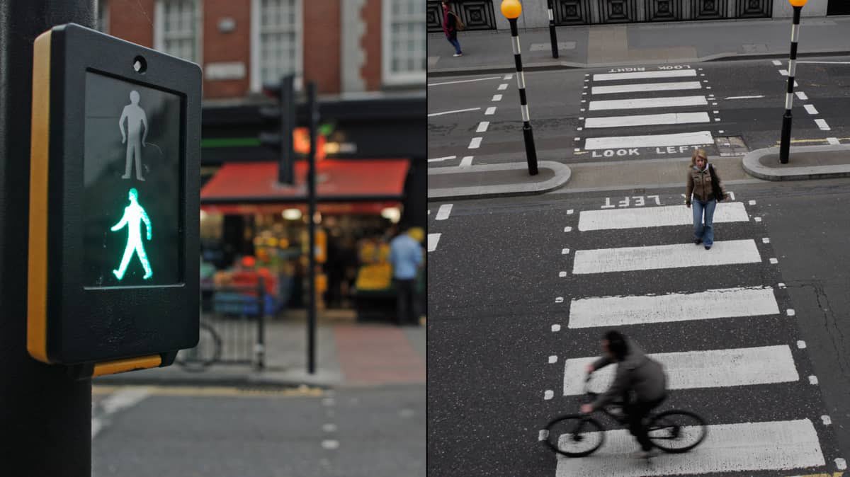 🔔 | Puffin and Pelican crossings aren’t actually named after birds and people are mindblown More below: