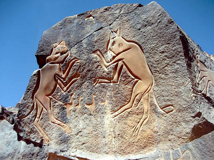 This prehistoric Saharan rock carving from Wadi Mathendous in the Fezzan, Libya depicts two cats fighting. Similar petroglyphs can be found in rock escarpments throughout the Sahara.