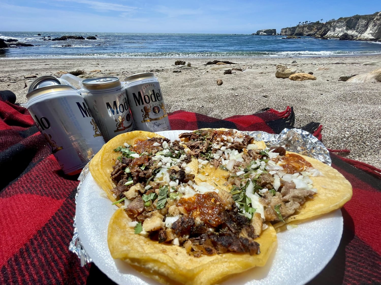Tacos picnic (chili verde, asada, carnitas & barbacoa) [Take out]
