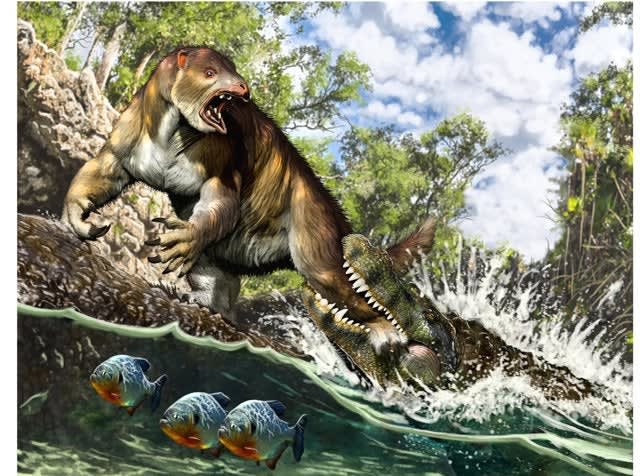 Prehistoric caiman Purussaurus used to dine on giant ground sloths in Miocene South America