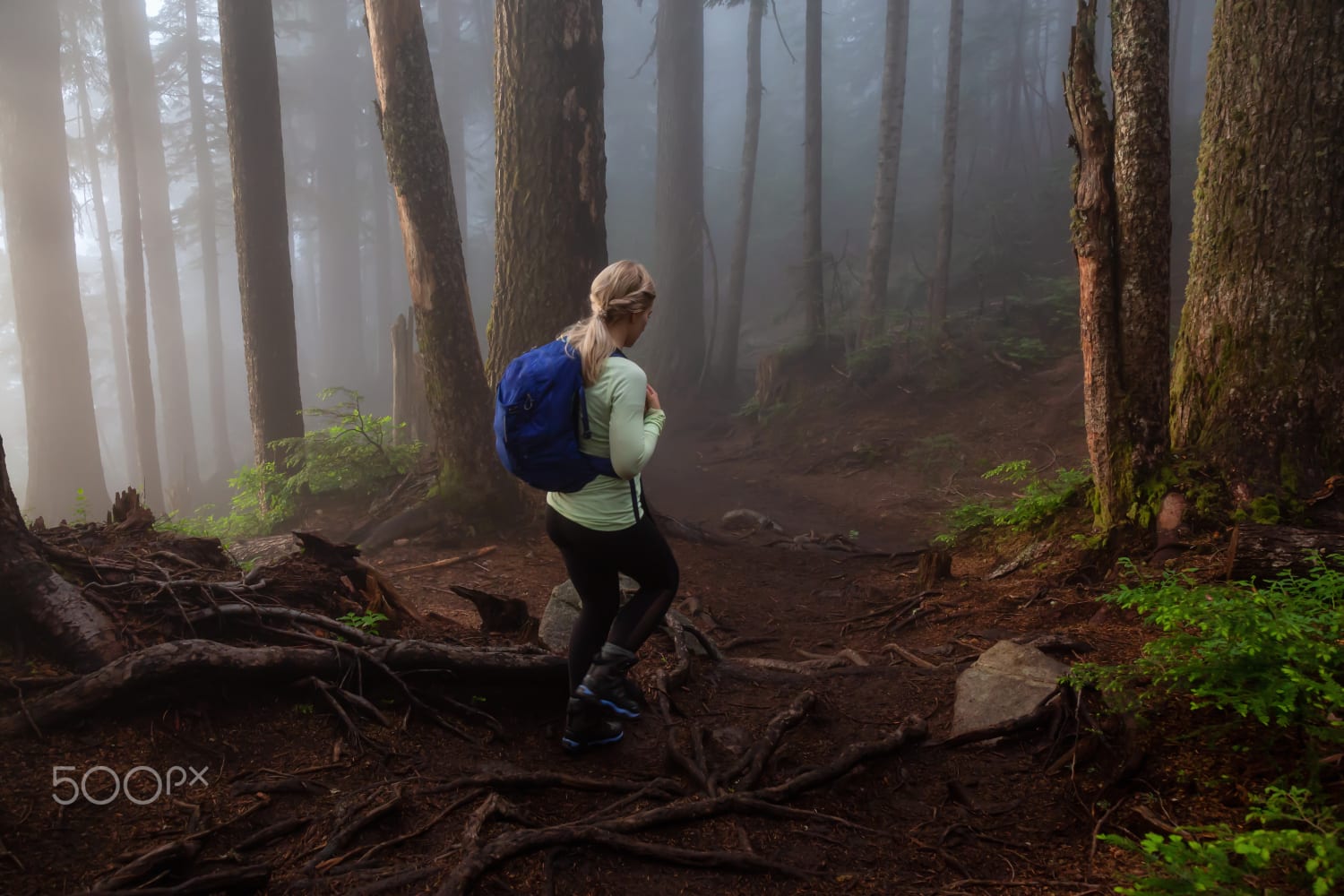 Adventurous girl hiking on a trail in the woods during a foggy and