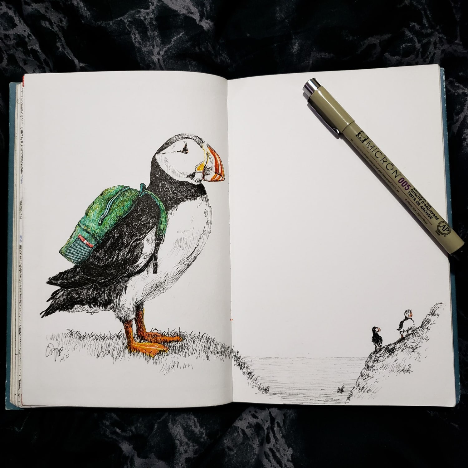 A puffins first day of school. Ink.