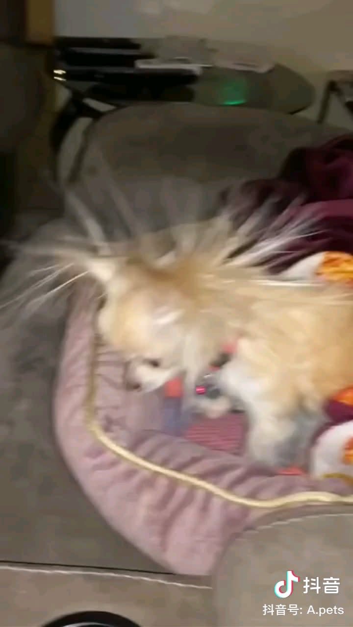 What is under the sheet......