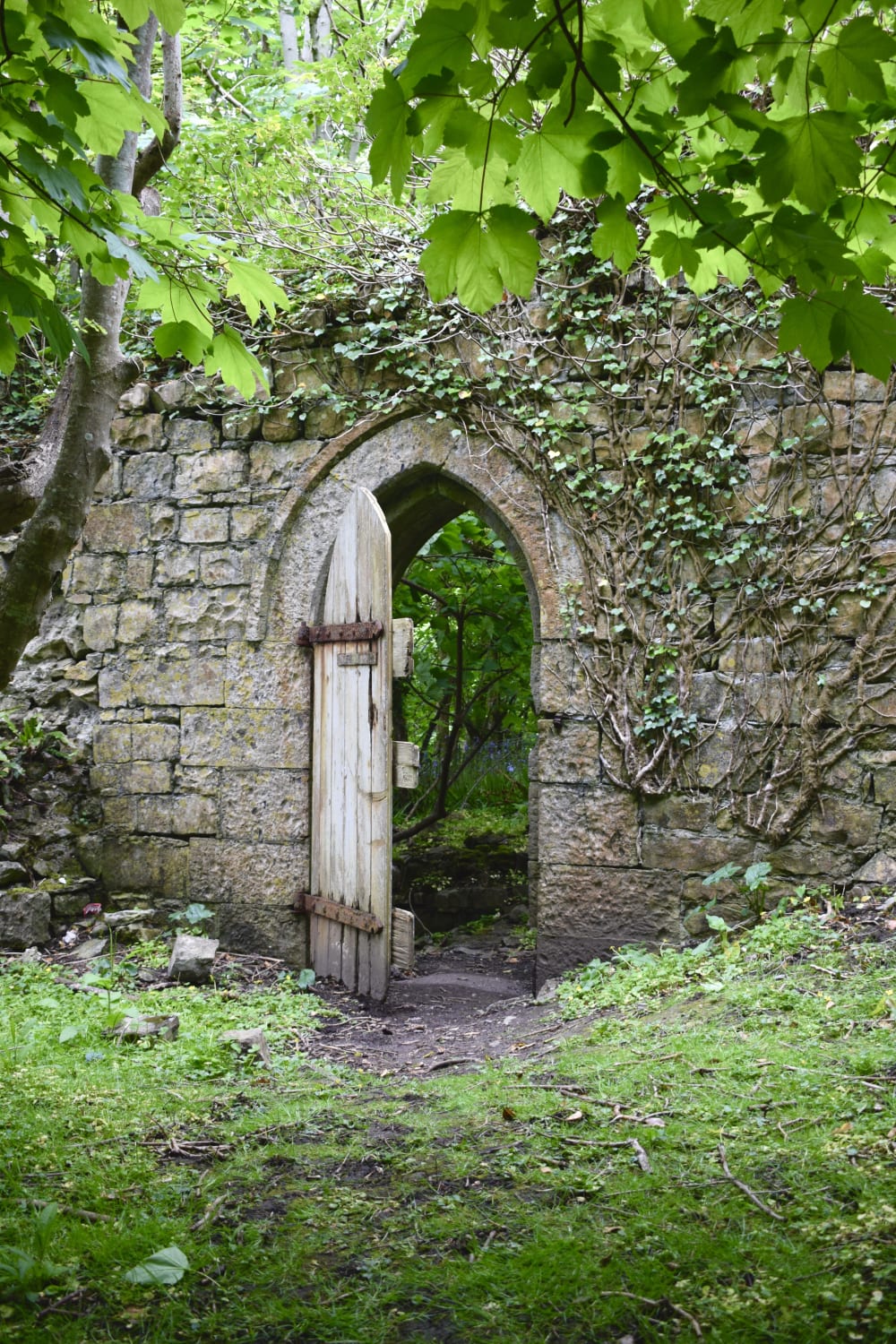 ITAP of a castle door in Wales
