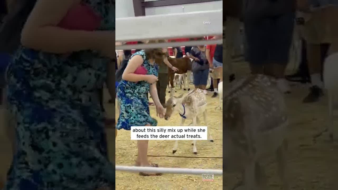 Deer Try to Chew Woman’s Dress Off #Shorts