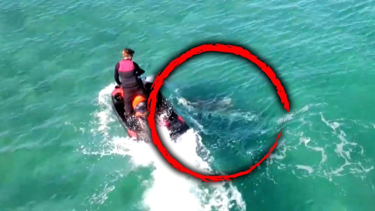 10-Foot Shark Takes a Bite Out of Man's Jet Ski