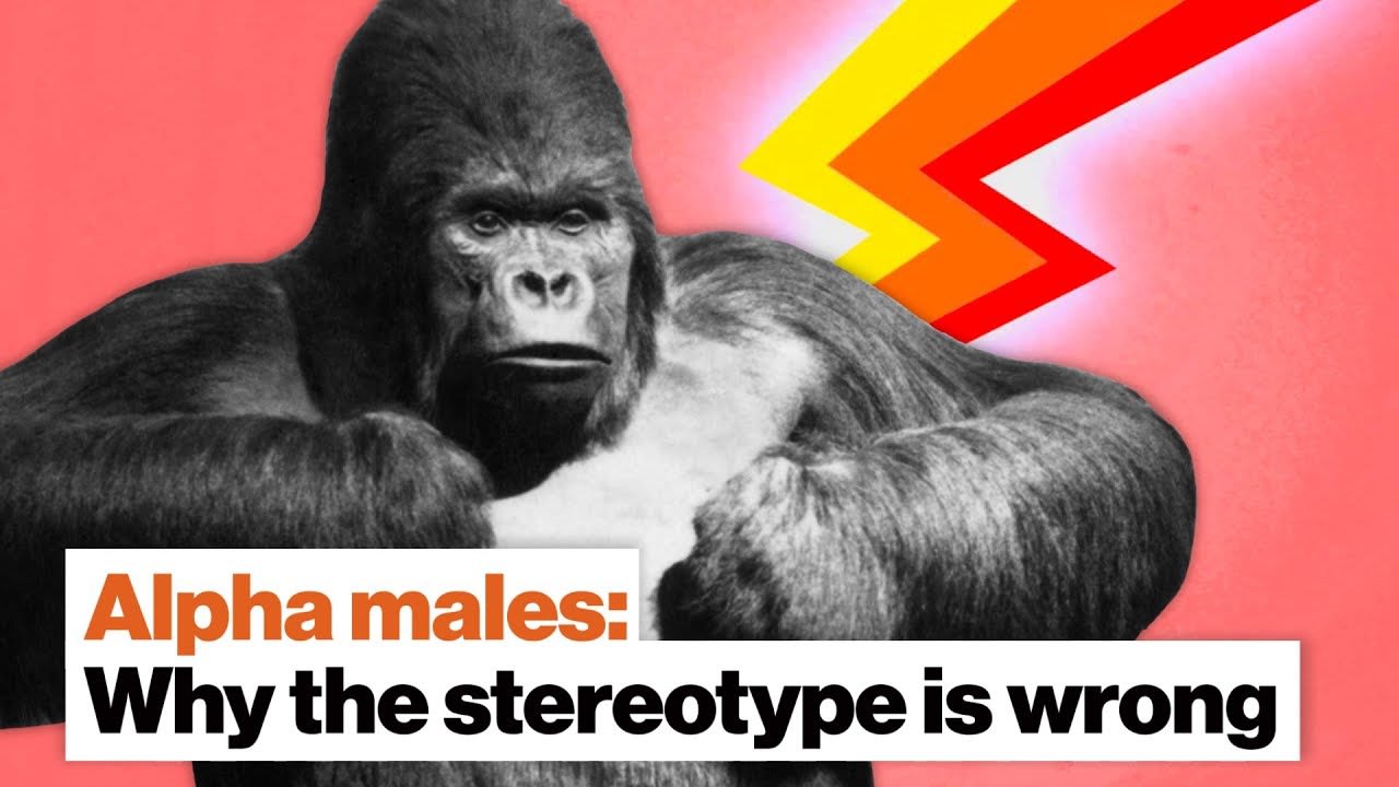 Why the 'alpha male' stereotype is wrong | Frans de Waal | Big Think