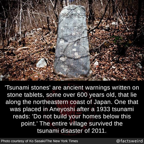 Tsunami stones are ancient Japanese markers to commemorate past calamities & warn residents of future ones.