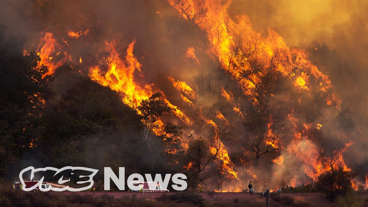 Wildfires, Disappearing Fish, Two Hurricanes And Other Ways the World’s Ending