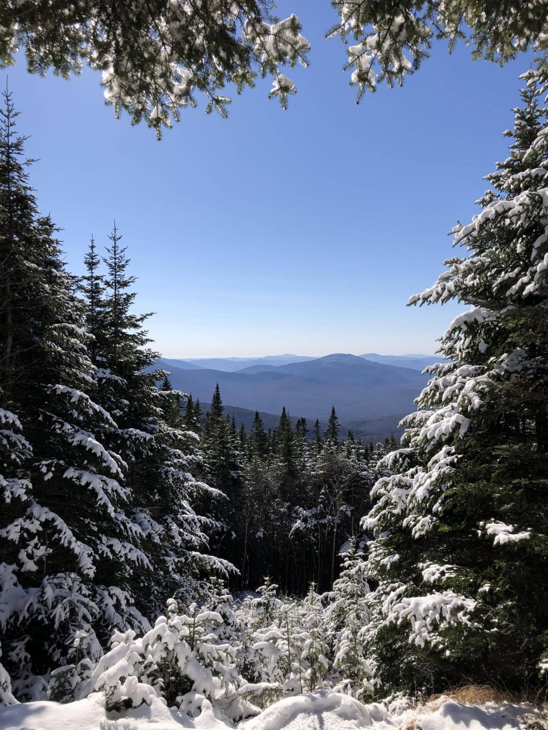 Mount Moosilauke, White Mountains, NH, USA