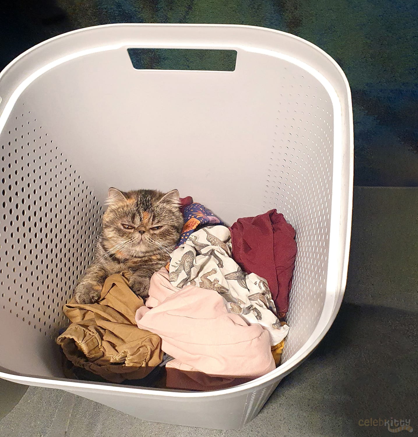 Smol laundry sorter