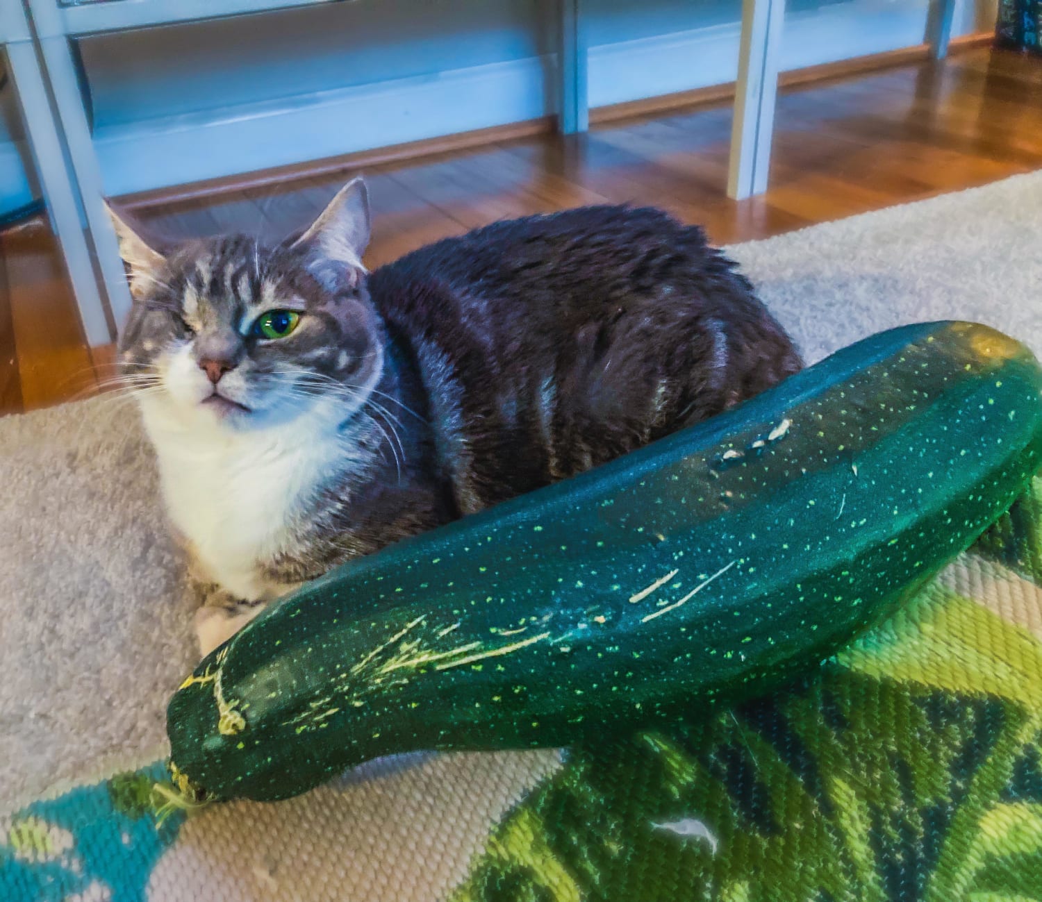 Chief zucchini inspector