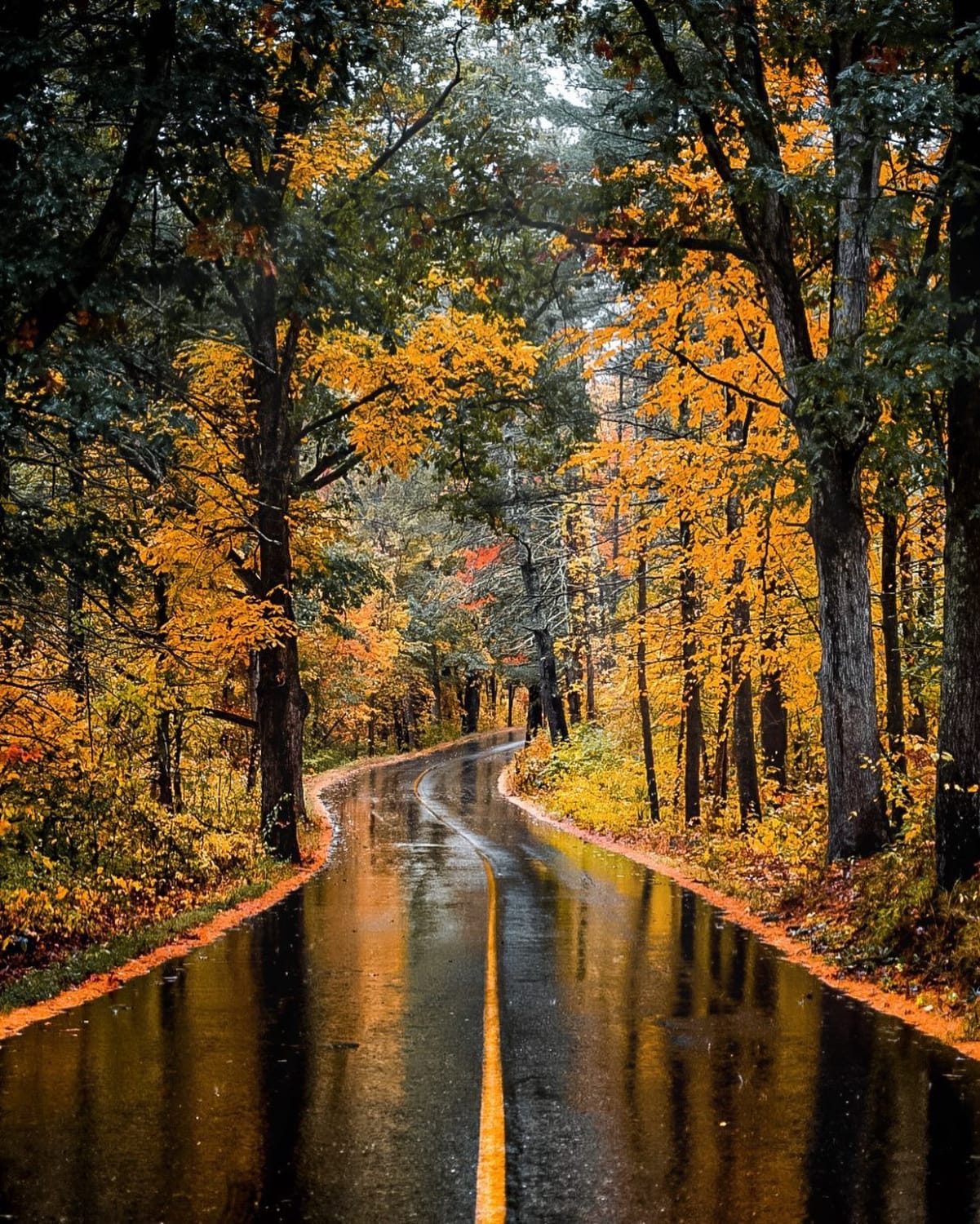 Rain soaked autumn road, Groton, Middlesex County, Massachusetts.