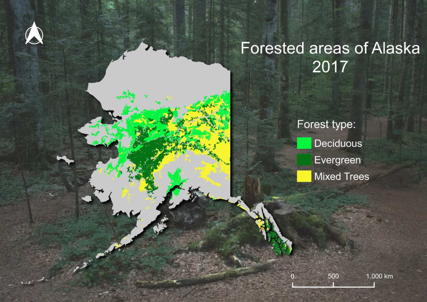 forestry situation of Alaska in 2017
