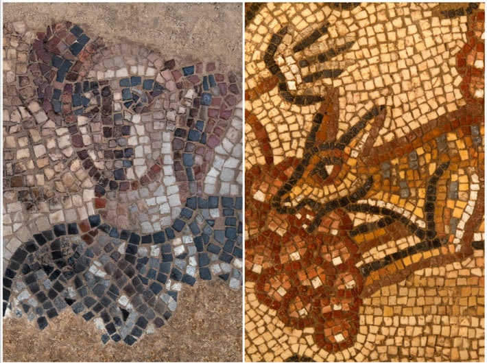 1,600-year-old mosaic floor panels depicting biblical heroines have been uncovered in the ancient Galilean synagogue at the site of Huqoq in the Galilee.