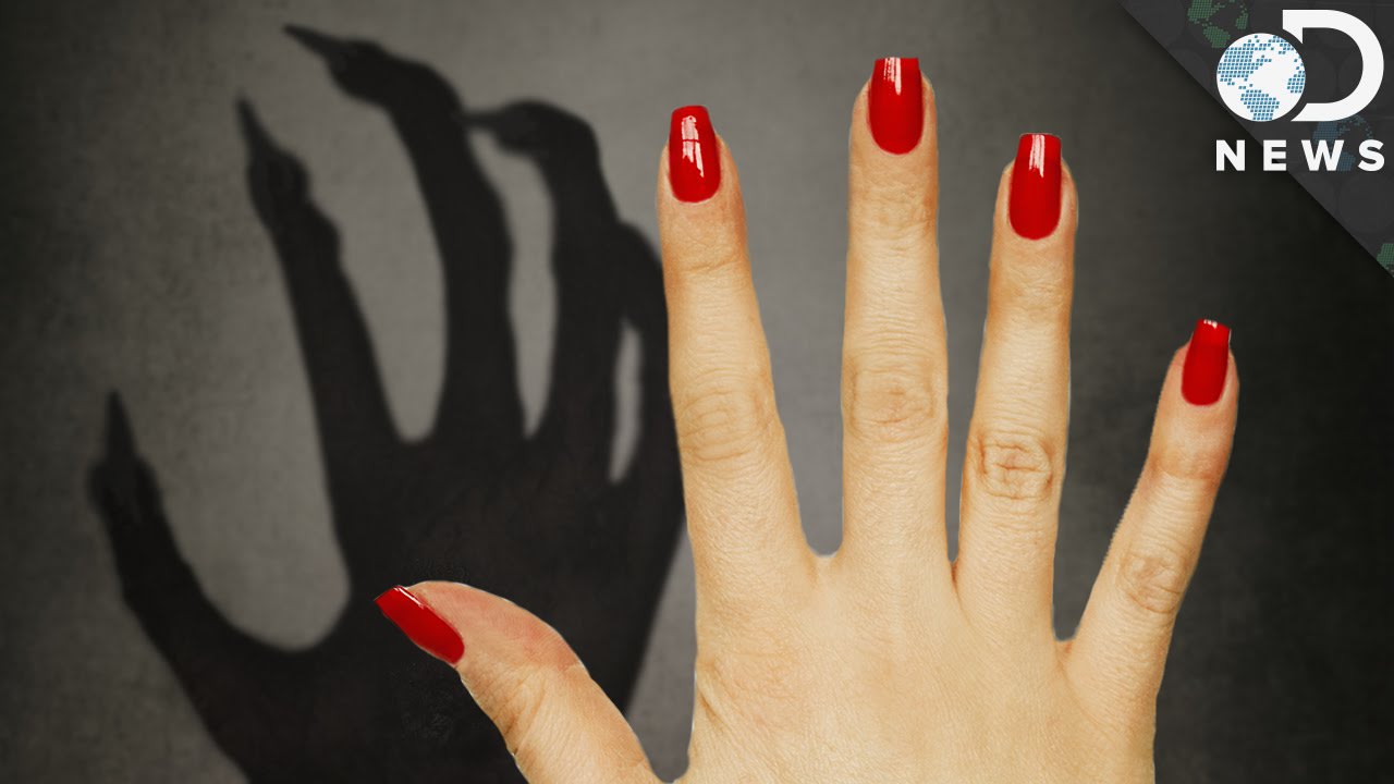 Why Do We Have Fingernails and Not Claws? #AskDNews