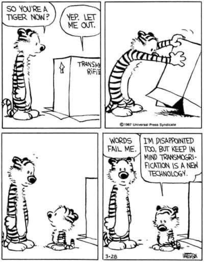 March 28, 1987. Calvin the Tiger.