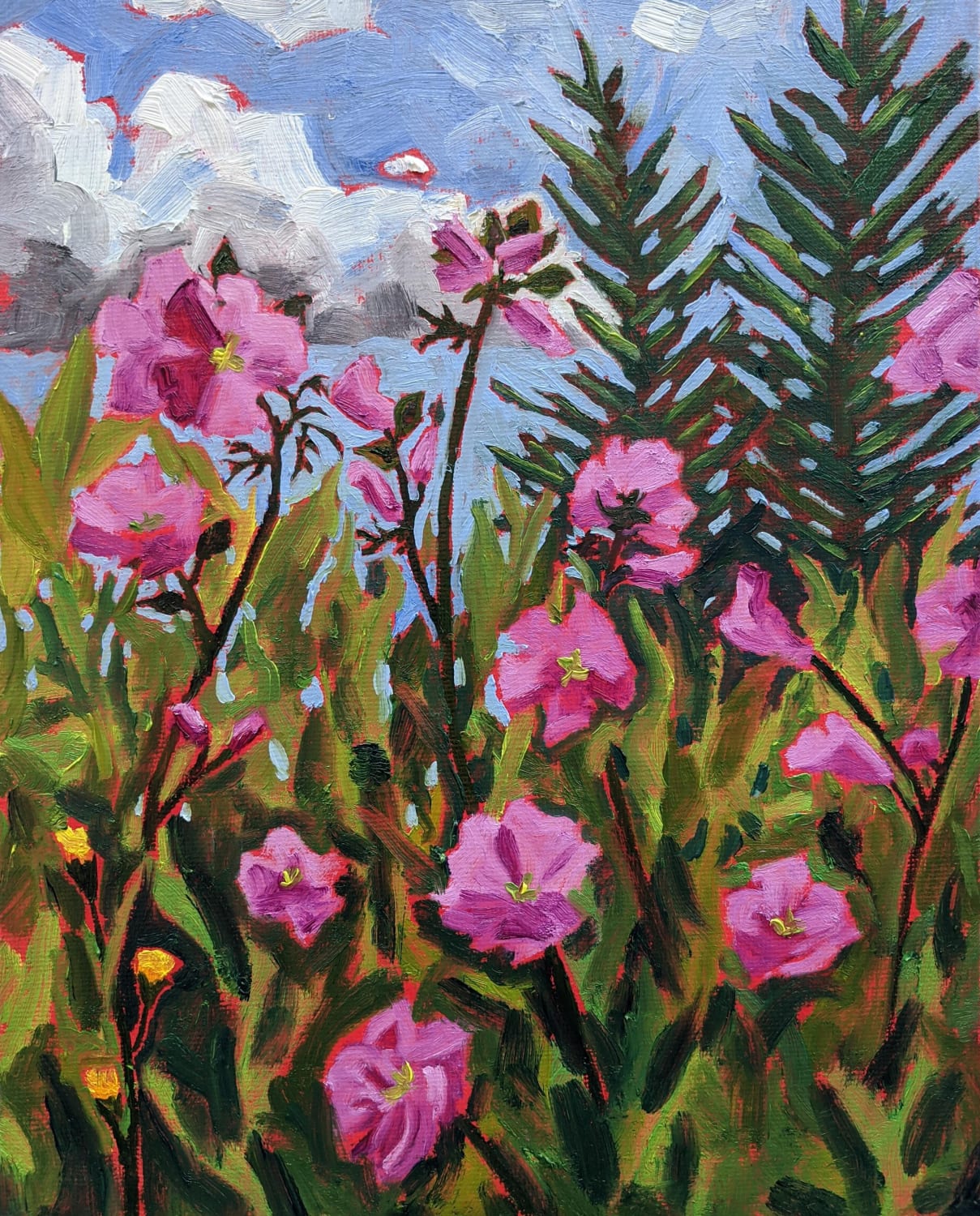 Pink wildflowers - oil on canvas board -in
