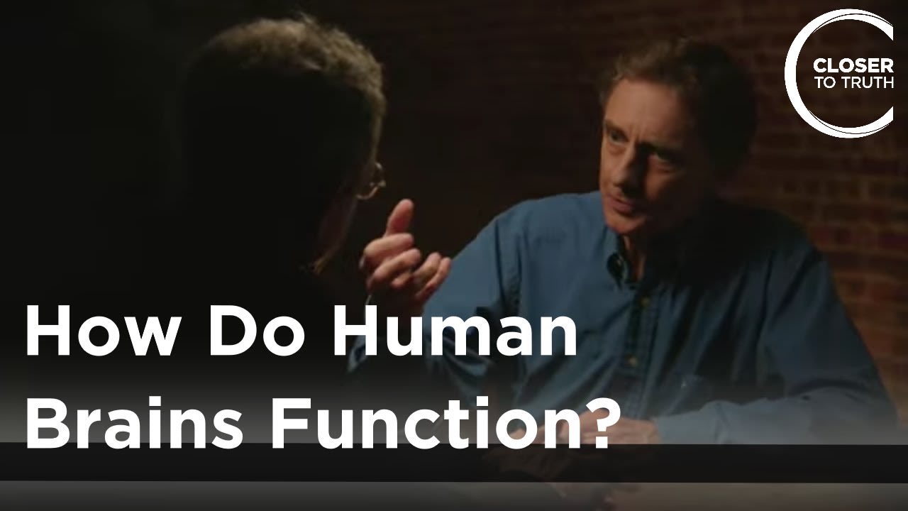 Colin Blakemore - How Do Human Brains Function?