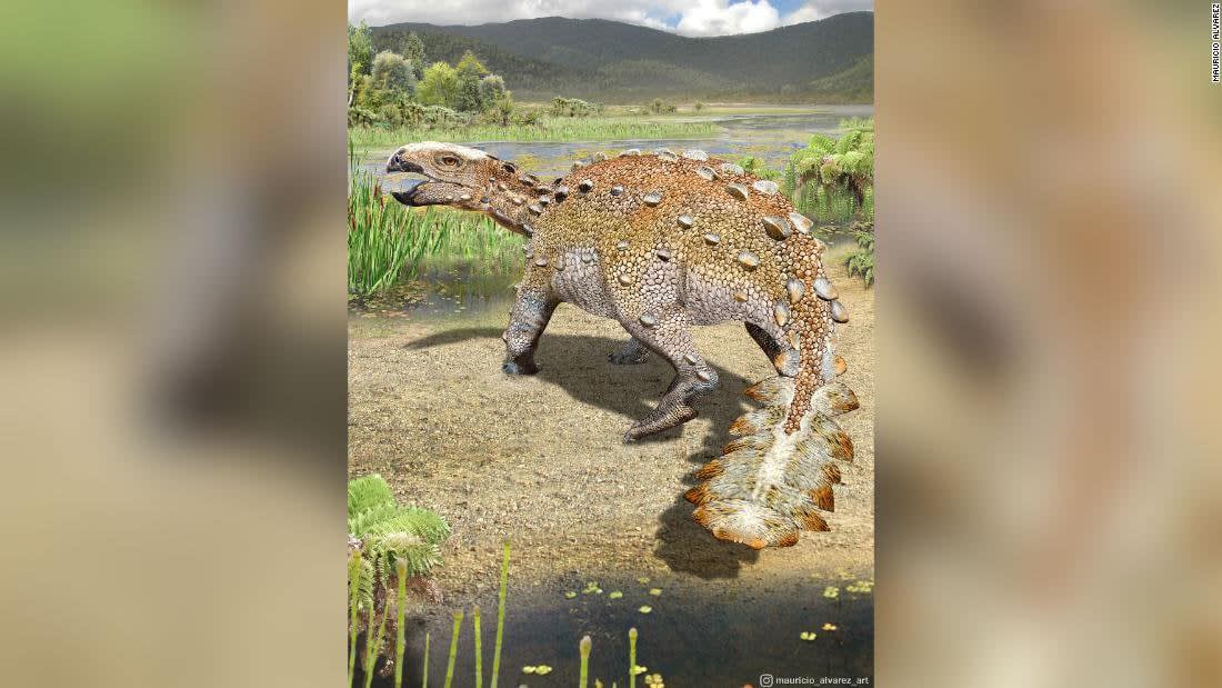 New dinosaur found in Chile had bizarre weaponized tail