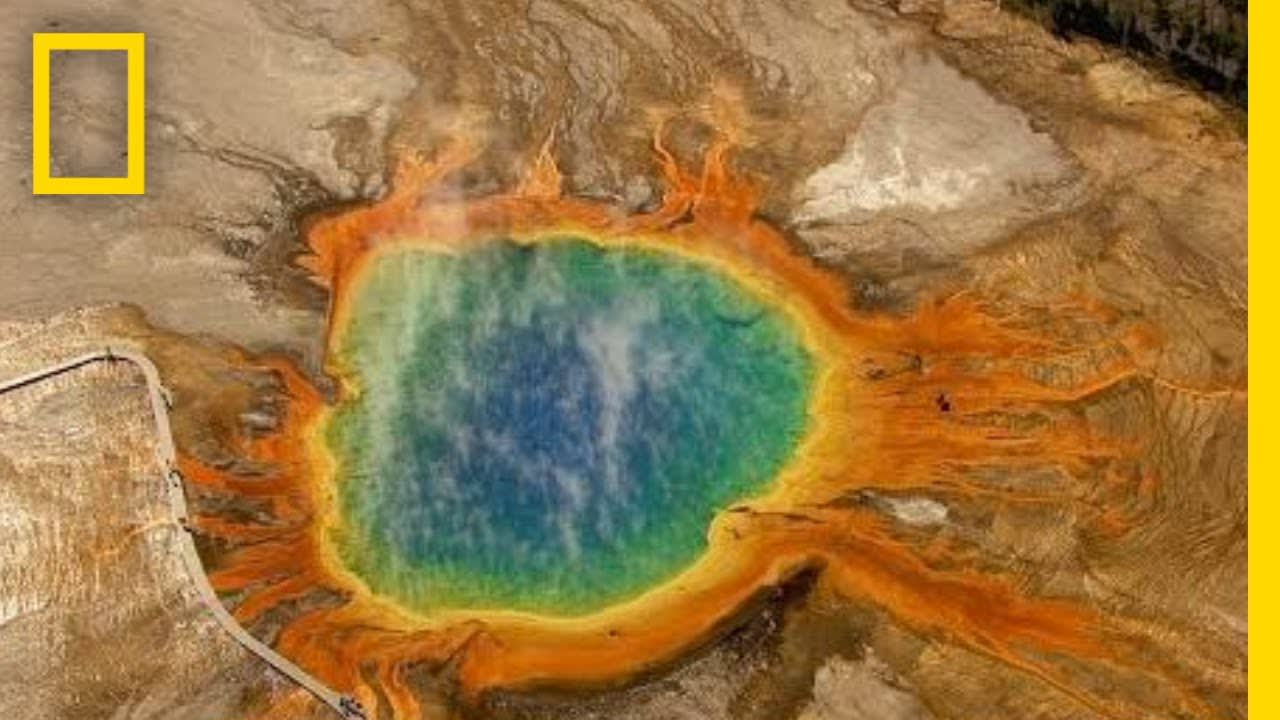 Five Must-See Attractions in Yellowstone | National Geographic