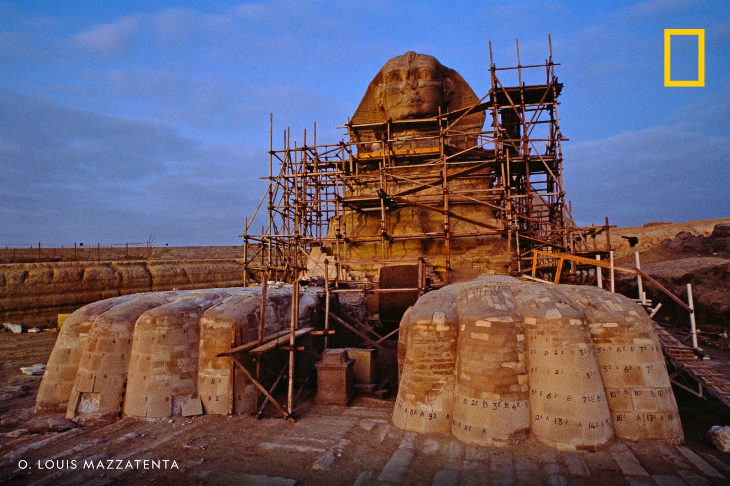 Restoration scaffolding surrounds the Great Sphinx in Giza, Egypt.