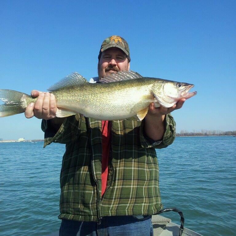 Walleye wensday. 31” released Detroit river