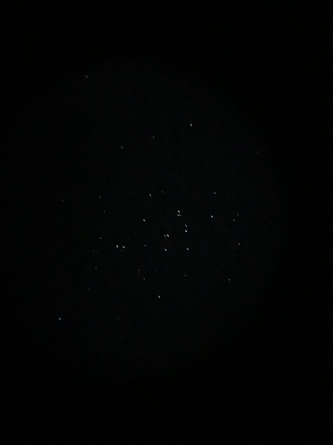 Picture of the Beehive cluster through my telescope