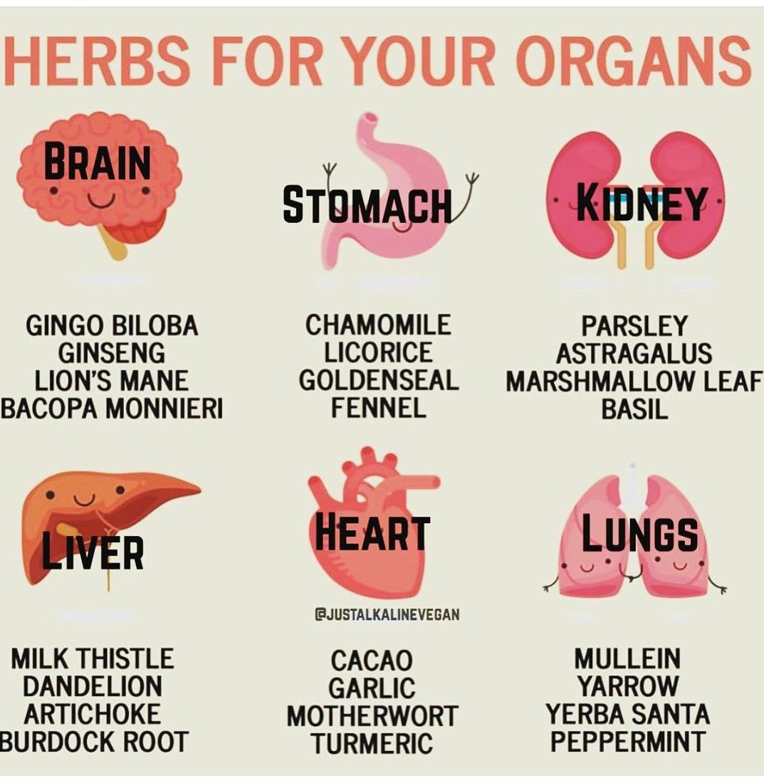 Herbs for Our Organs in 2022 | Home health remedies, Medical herbs, Food health benefits
