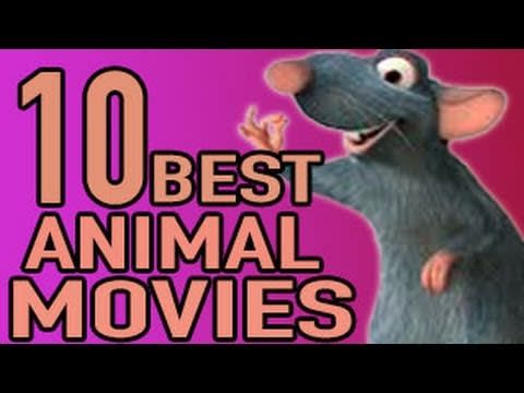 Best Animal Movies