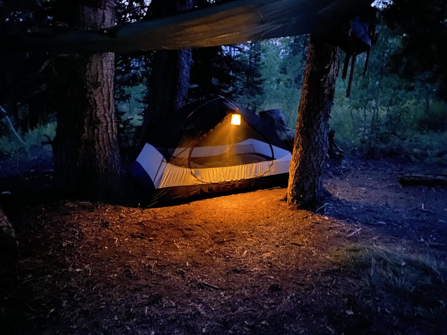 A tent in the Rocky Mountains in which I am currently nestled with down blankets. (I conveniently have cell service).