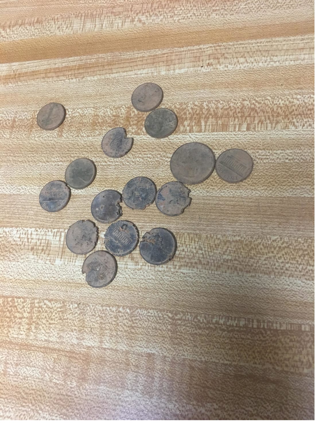 Years ago I was a stupid fucking kid who tossed a shitload of change in the front yard thinking it’d be a fun treasure hunt... today with the help of the metal detector my sister got for Christmas, I finally found the rest of it!