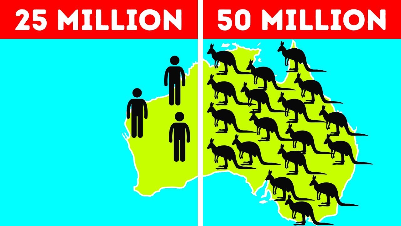 50 Things That Are Only Possible In Australia