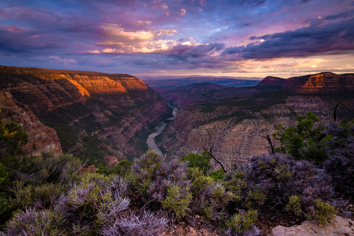 Famous for its dinosaur fossils, @DinosaurNPS is so much more. It's home an array of wildlife, deep canyons, night skies, Fremont petroglyphs, homestead sites and wild rivers winding through spectacular backcountry. Pic by Tom Tolbert (https://t.co/fTuu0zTe9H)