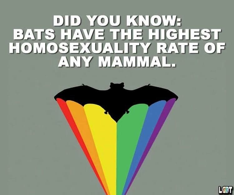 More than 20 species of bats have been observed willfully engaging in Homosexual behavior in the wild and captivity. Most scientists in agree that other 1,400 species likely perform this as well.