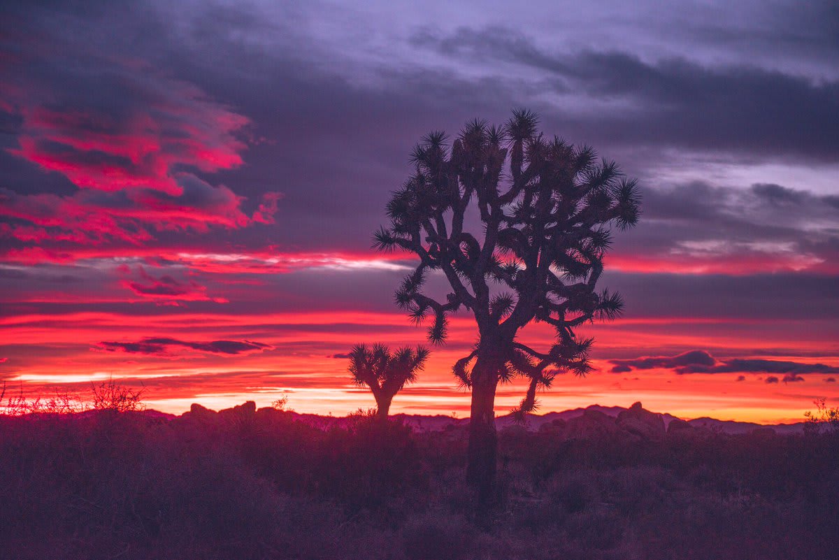 The electric colors of sunrise spread across the desert sky