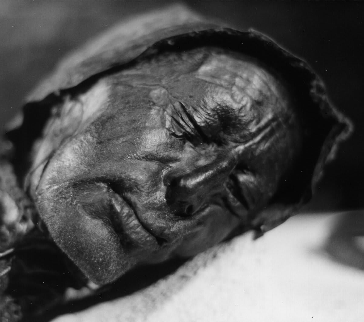 We know it's hard to believe, but this man was buried 2400 years ago. ☠️ Called the Tollund Man, he was found in a peat bog - a 'bog body'. He's well preserved because of the acidic water, low temps, and no oxygen. Read more: https://t.co/c6DVudJrf0 📷: Sven Rosborn