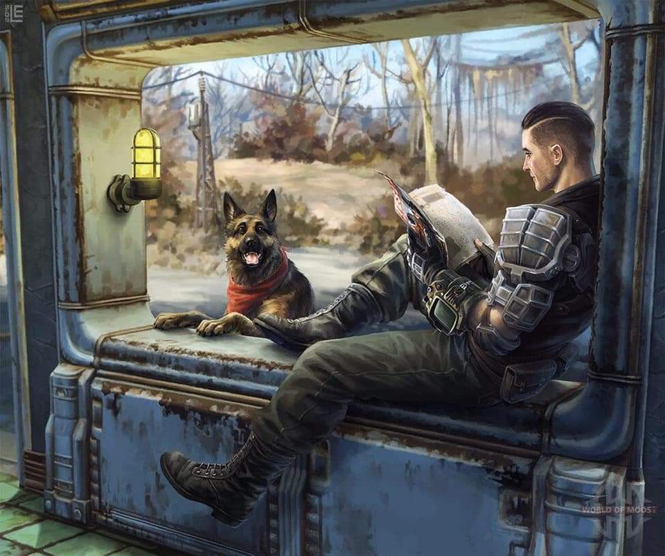 Would you guys like to see dogmeat in the future in another fallout?