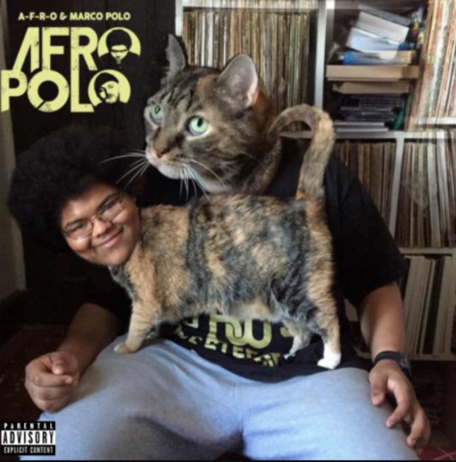 Underrated Gem Album 3: AFRO POLO
