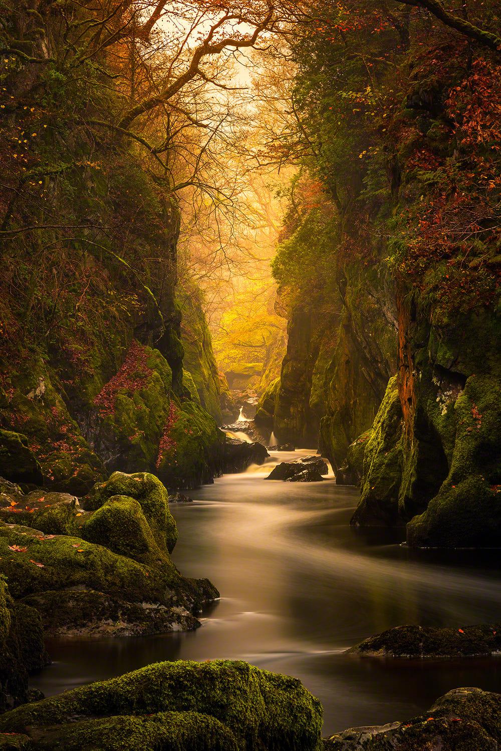 Fairy Glen Gorge, North Wales
