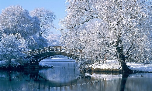 Mix Free Winter Wallpaper Winter Iphone Background Winter