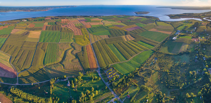 Archaeologists In Nova Scotia Have Identified Traces Of Grand Pr A 