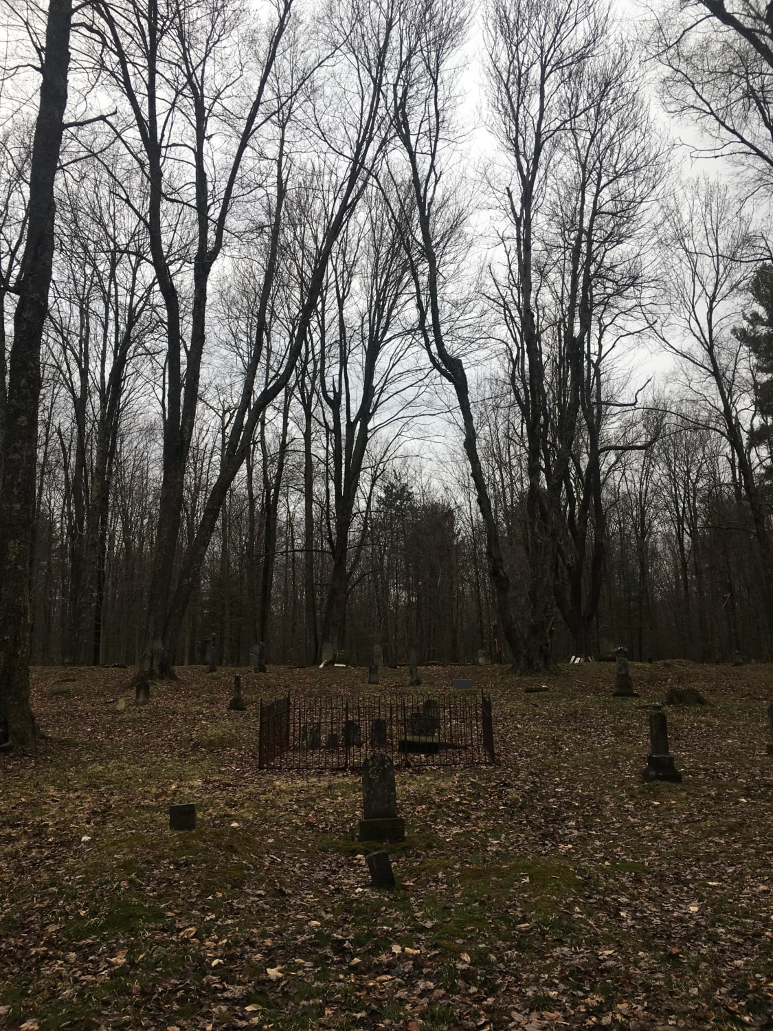 barclay, pennsylvania was mostly wiped out by the plague, and the industrial revolution finished the job. all that remains is an abandoned cemetery on state game lands.