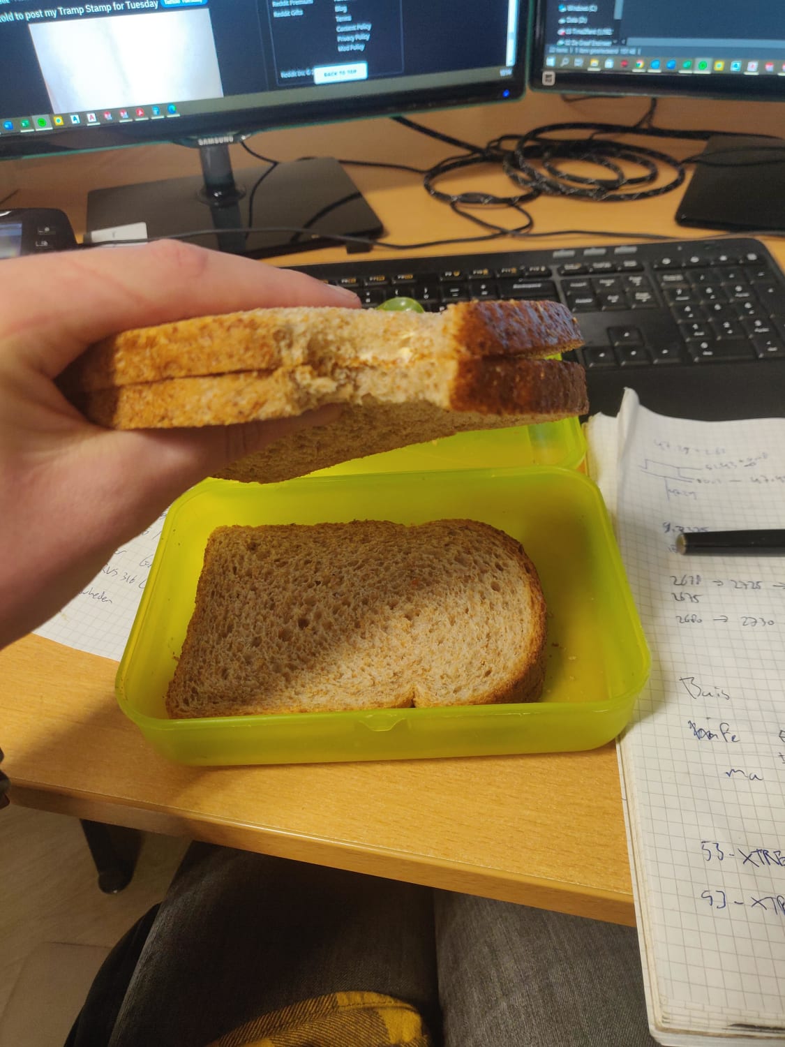 The OG vegan peanut butter sandwich, recipe in comments