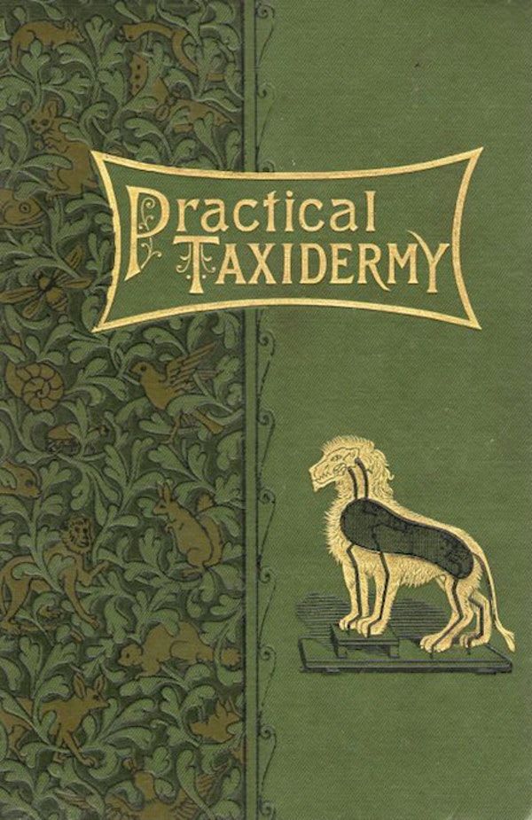 Cover to Montague Browne's Practical Taxidermy (1878). One of the many wonderful examples from our celebration of the first 100 years of book cover art (1820–1914). More here:
