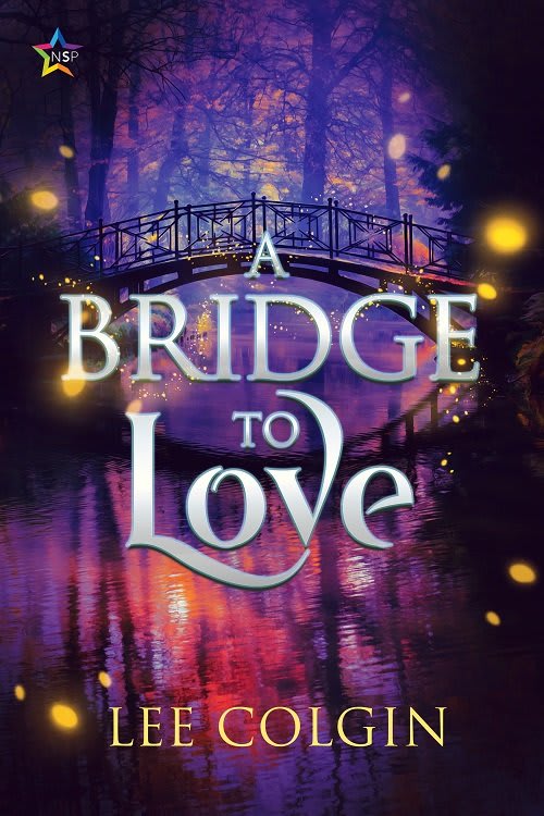 QSFer Lee Colgin has a new MM paranormal Christmas book out: "A Bridge to Love." And there's a giveaway!